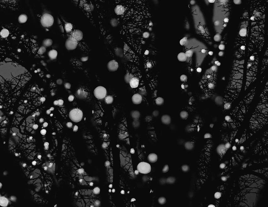 素敵な人のようでなくていいんだよ。あなたはあなたのままがいい。そのままこそが素敵。憧れを捨てた時、ほっと自分に着地できる。あぁ安心。だれかではない、自分自身。その感覚が大切なんだ。自分自身に寄り添う、自分自身に落ち着く、自分自身自身に安らぐ。星を眺める、ゆとりのように