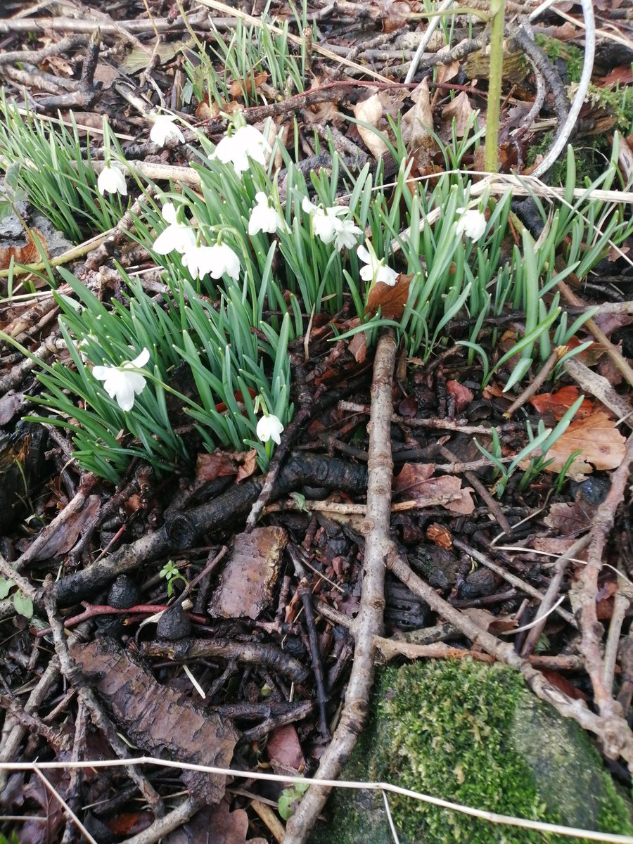 Suna Dasi tweet media