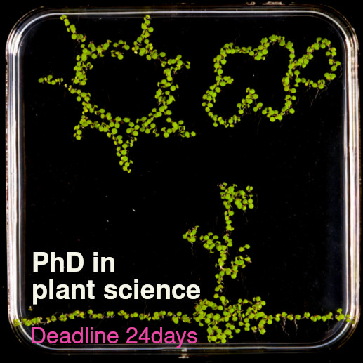 Labdeers tweet media