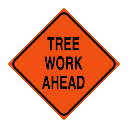 Wednesday, February 5: Odorisio Park Tree Work

Willow Tree Services will be working at Odorisio Park today to perform scheduled tree work as part of the Radnor Township Parks Tree Risk Assessment approved by the Board of Commissioners.

Park visitors should use caution and