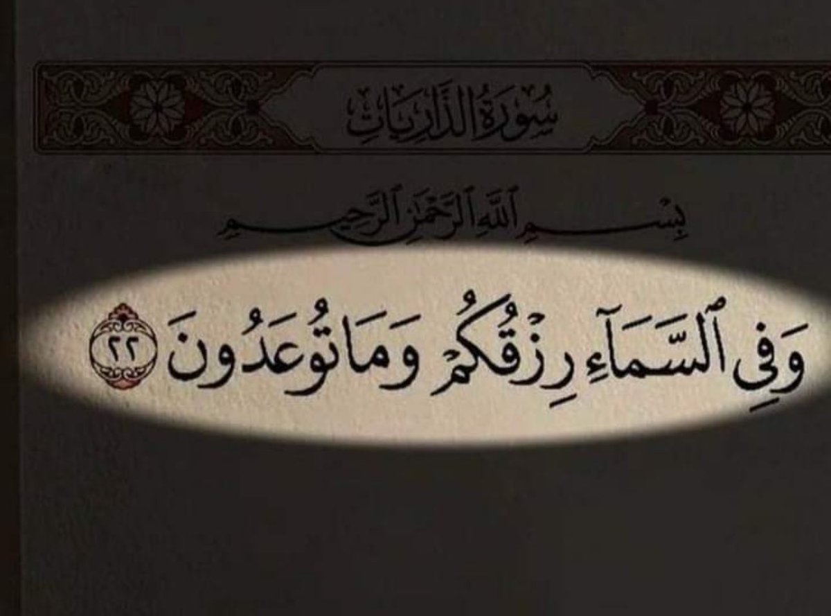 Remmo8's tweet image. 🤎