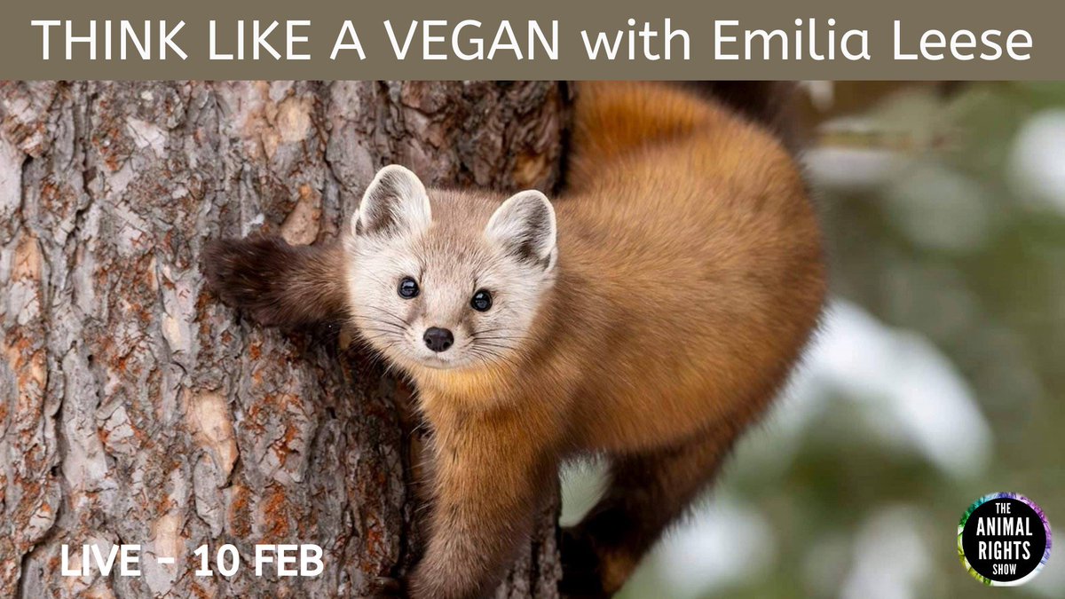 Catch me live on @RightsShow with <a href="/RogerYates/">Roger Yates</a> on Monday 10 Feb at 6pm. We’ll be talking about <a href="/ThinkLikeAVegan/">Think Like A Vegan</a> and more. Looking forward to it!

youtube.com/live/SLm2bmiHy…