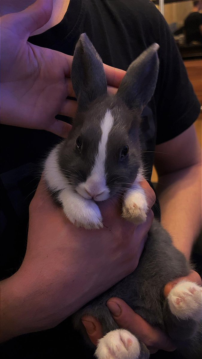 Kurš "pazaudēja" trusīti?
Atrasts Rīgā,
Juglas 43 pie mājas pagalmā. Ja kādam ir precizējoša info, lūdzu 25473333