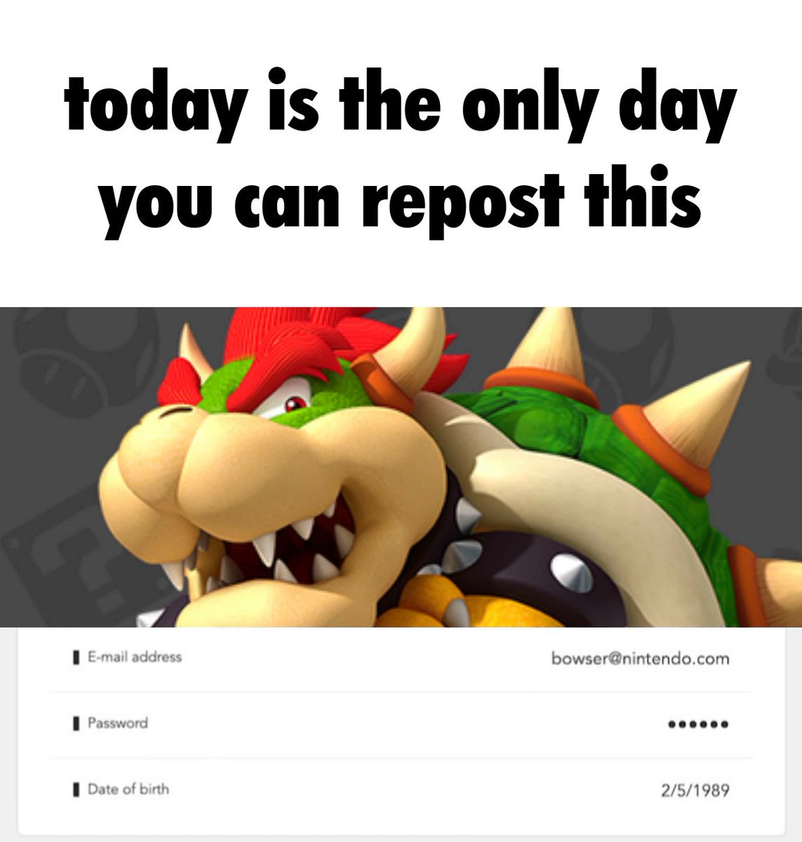 happy birthday bowser