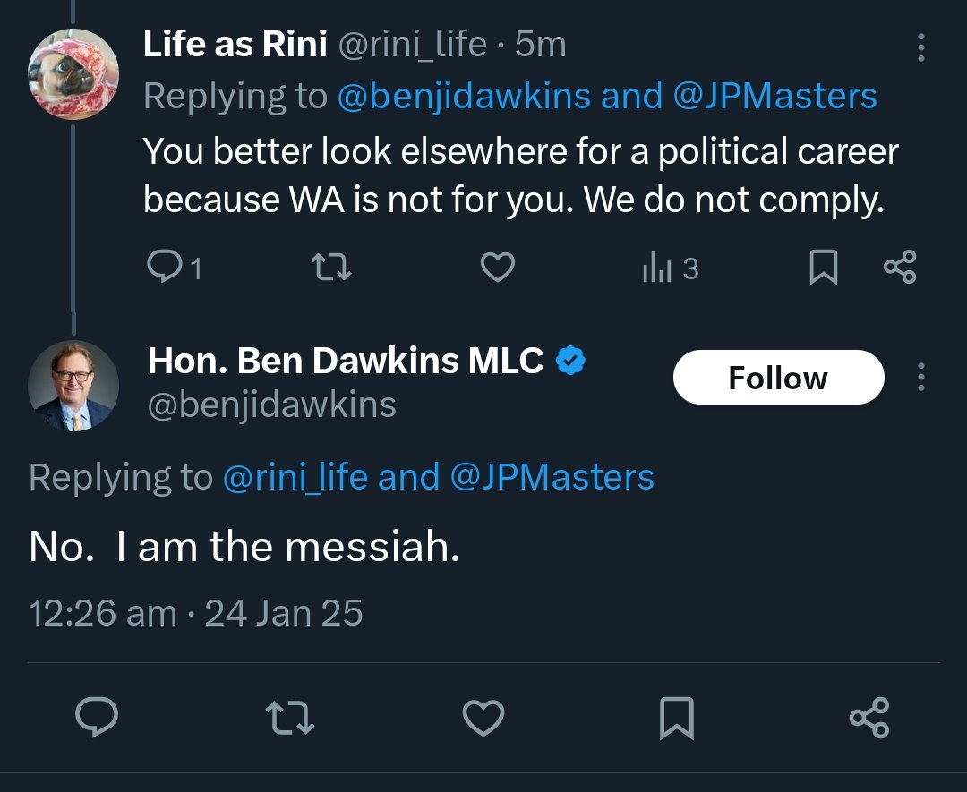 Life as Rini tweet media