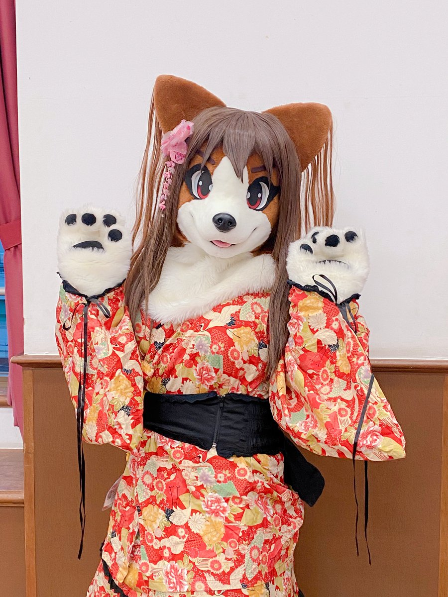 念願のパピコちゃん💓和服もめちゃくちゃ可愛かったです🌸
#しがもふ #しがもふ3