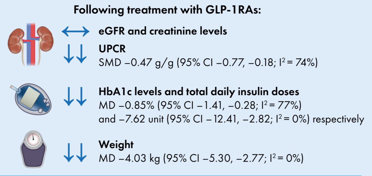 Los aGLP1 en el trasplante renal se asociaron a los siguiente:

•No afectan la TFGe
•↓470mg la proteinuria
•↓0.85% la HgbA1c
•↓7.6 unidades la insulina
•↓4kg peso
•25% eventos gastrointestinales

Metaanálisis de 9 estudios

CKJ 2024
https:/doi.org/10.1093/ckj/sfae018