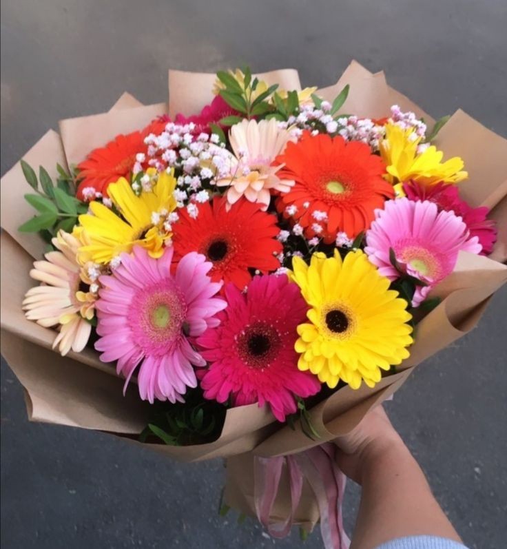 Ⓕⓛⓞⓦⓔⓡⓢ (@tuliipslove) on Twitter photo 