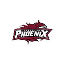 CJWilliams_01's tweet image. I Am Proud to Announce My Official Commitment to Cumberland University to Continue My Academic and Athletic Career. #GOPHOENIX #AGTG
@CoachSHenry16 @TimMathisCU
@BobbyBrownCU
@CumberlandFB
@WMajorWright