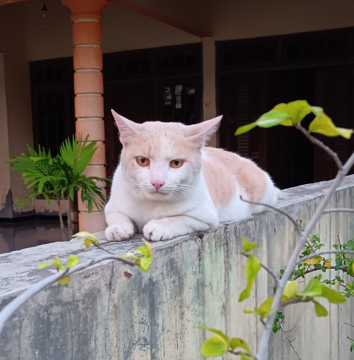 saturn🪐 tweet media