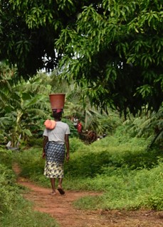 Canada au Sénégal tweet media