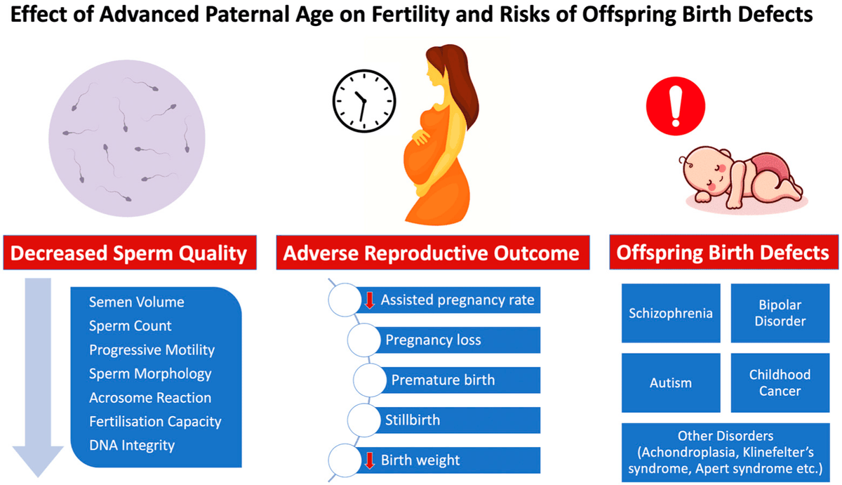Genes MDPI (@genes_mdpi) on Twitter photo <a href="/doctor__ares/">Aris Kaltsas, MD, PhD</a> and colleagues comprehensive literature evaluation shows a direct correlation between paternal age and decreased sperm quality and testicular function. #FertilityResearch #Genetics #MaleInfertility #ReproductiveHealth #Andrology
mdpi.com/2073-4425/14/2… <a href="/doctor__ares/">Aris Kaltsas, MD, PhD</a> and colleagues comprehensive literature evaluation shows a direct correlation between paternal age and decreased sperm quality and testicular function. #FertilityResearch #Genetics #MaleInfertility #ReproductiveHealth #Andrology
mdpi.com/2073-4425/14/2…
