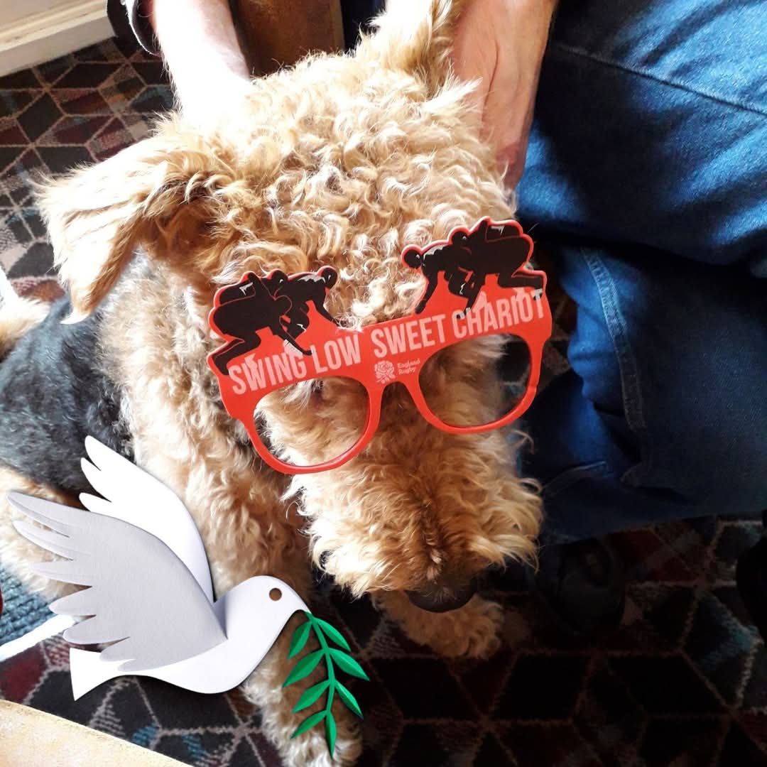 I'm a bit late with this, this year! 
Come on England! 
#SixNationsRugby