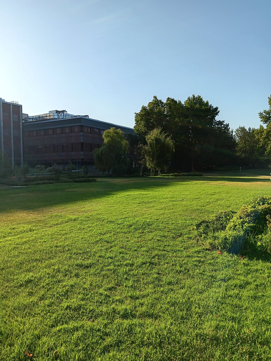 Pedro Picchetti (@picchettipedro) on Twitter photo Exciting personal news!!
My Job Market season is over. I am thrilled to announce I am joining <a href="/IE_UC/">Instituto Economía UC</a> as an Assistant Professor next semester. Looking forward to joining this great department and working at the Católica.
Great times are coming🤠 Exciting personal news!!
My Job Market season is over. I am thrilled to announce I am joining <a href="/IE_UC/">Instituto Economía UC</a> as an Assistant Professor next semester. Looking forward to joining this great department and working at the Católica.
Great times are coming🤠