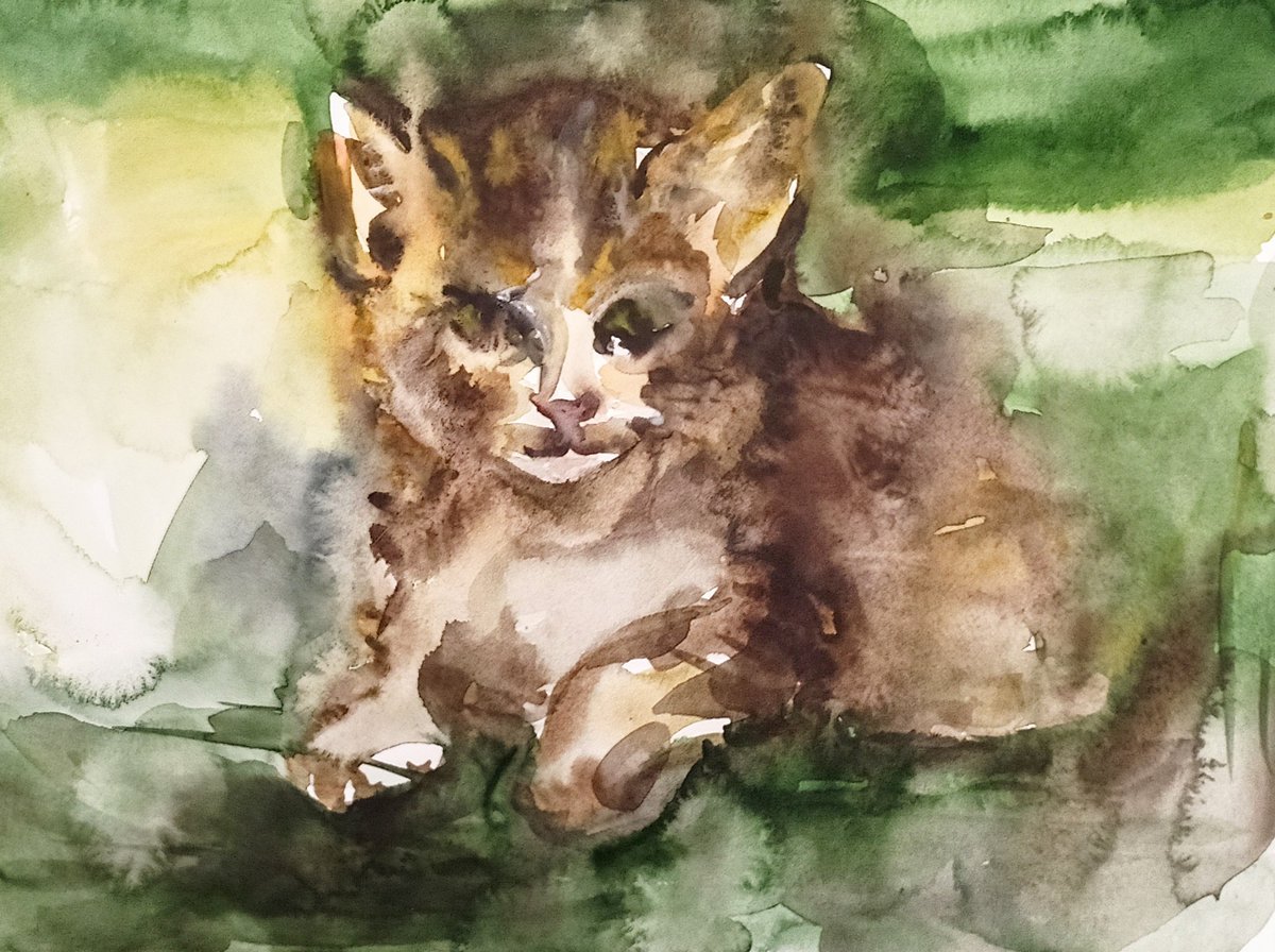 Angry Kitten ( only 1 edition )
🎨watercolor on paper