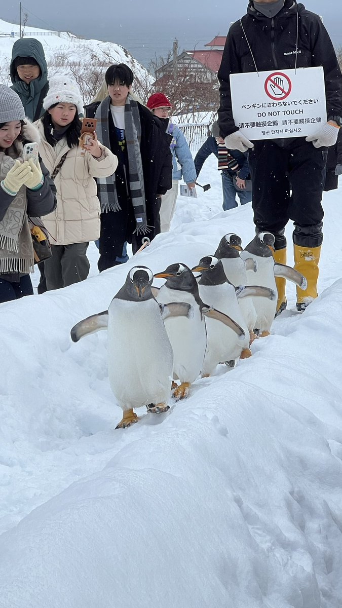 Small_o's tweet image. Otaru