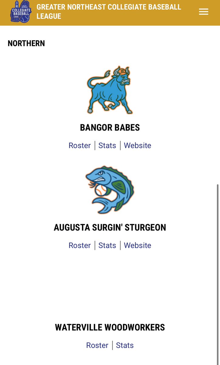 MiLBWanderlust's tweet photo. It appears as the @GNCBLBaseball is back with two new teams:

Waterville Woodworkers and South Portland Puffins. https://t.co/5s3Mc1QYcp