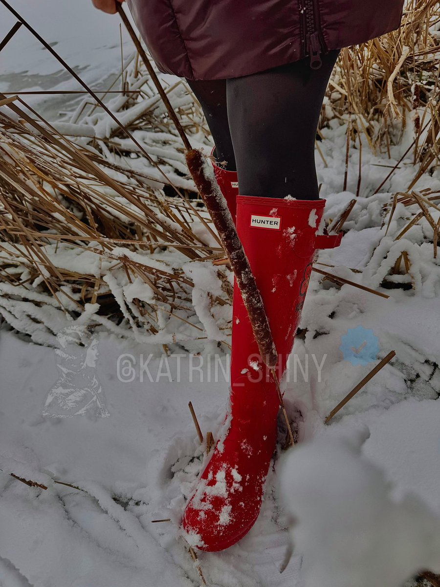 Katrin_Shiny's tweet photo. Serene cattail 🌾landscape
Getting ♥️ through the frozen boggy marsh… is the ice thick enough? 🧊 And would my waterproofs keep me dry this time?
#kenzoxhunter #kenzo #stuckgirl #bogged #reed #cattail #countrygirl #gumboots #gummistiefel #welliegirl #mudstuck #wellingtonboots https://t.co/fjosIlJFgP
