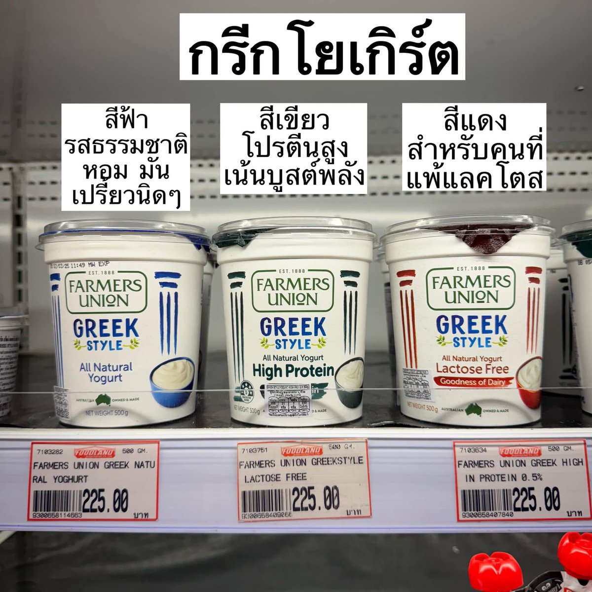 จูลลดา tweet media