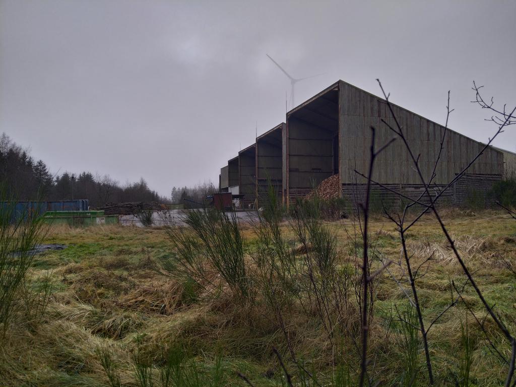 Bunkerratte tweet media