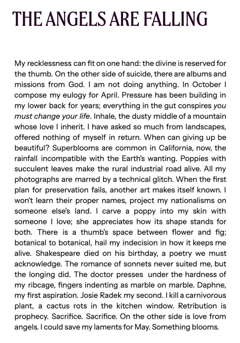 also: more important than my essay is this poem from my poetry cousin/Poet Laureate of Hyrule &amp; my Heart, <a href="/summabis/">PRE-ORDER THE HUNGERING YEARS 💜</a> 💜

Check out the community anthologies at <a href="/seventhwavemag/">The Seventh Wave</a> — it’s a great project!

theseventhwave.org/publications/c…