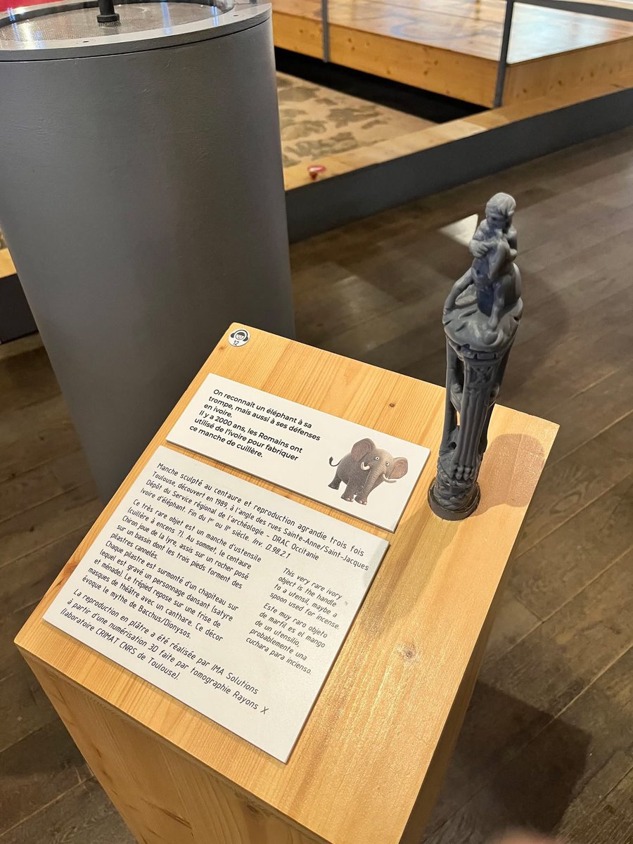 Musée Saint-Raymond tweet media