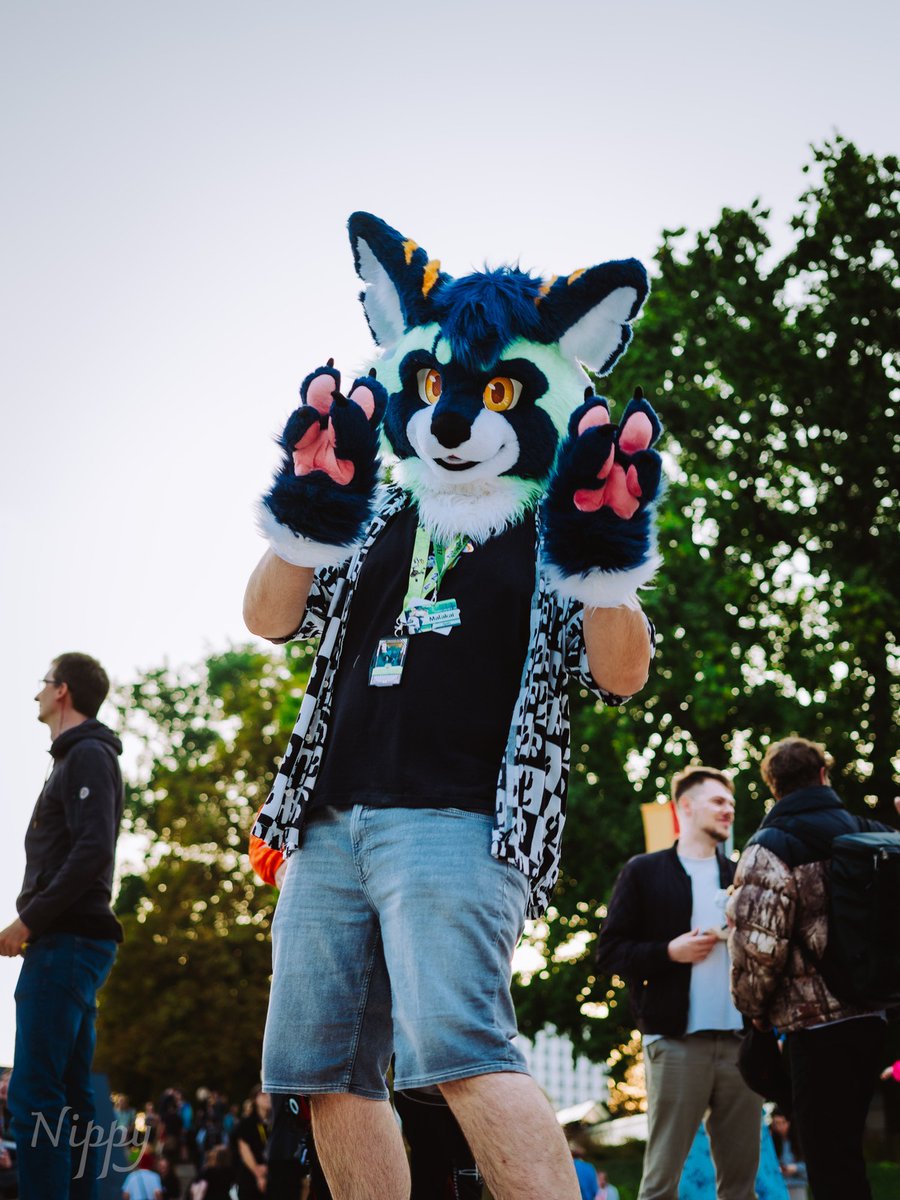 I love this piiiiic!!! Happy #FursuitFriday 

📸: <a href="/NippyWahs/">Nippy</a>