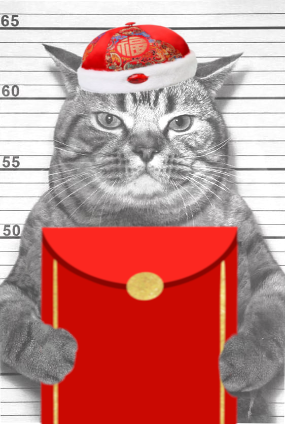Bad Cats tweet media