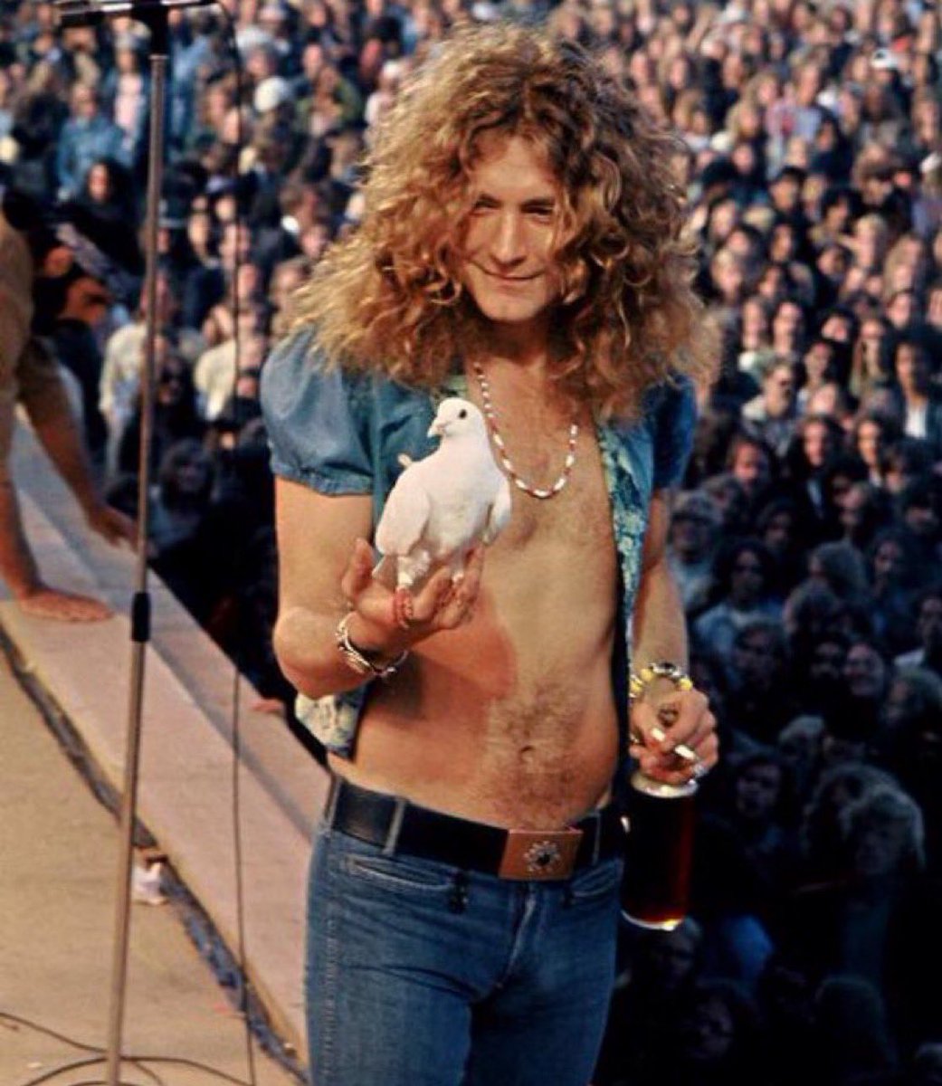 Photographs taken at the perfect time in Rock History.

I open thread 🧵

1. Led Zeppelin's Robert Plant holding a dove that flew into his hands (1973)