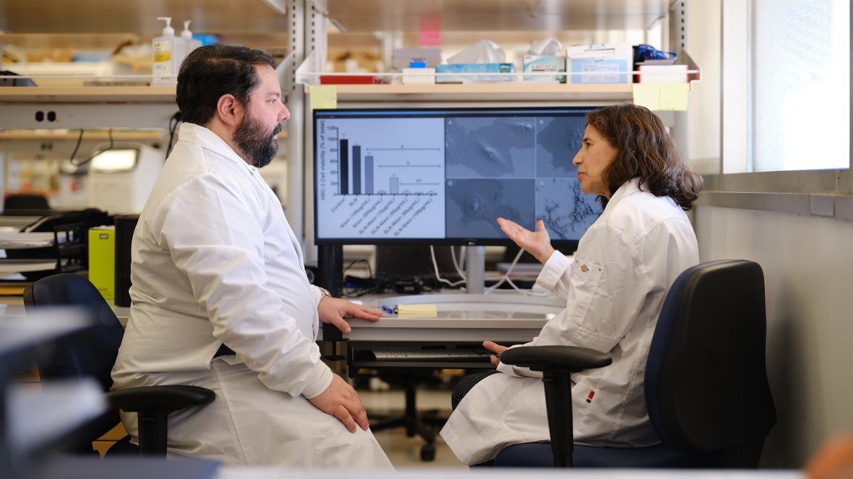 UCLA Dentistry (@ucla_dentistry) on Twitter photo NEWS | A $20.6M @nihgov grant – largest in @ucla School of Dentistry history - establishes the Human Virome Characterization Center ➡️ ucla.in/4hKDuGD
Partners on this ambitious five-year project include @uclahealth, <a href="/bcmhouston/">BCMHouston</a>, <a href="/MayoClinic/">Mayo Clinic</a>, and @NIDCR. NEWS | A $20.6M @nihgov grant – largest in @ucla School of Dentistry history - establishes the Human Virome Characterization Center ➡️ ucla.in/4hKDuGD
Partners on this ambitious five-year project include @uclahealth, <a href="/bcmhouston/">BCMHouston</a>, <a href="/MayoClinic/">Mayo Clinic</a>, and @NIDCR.
