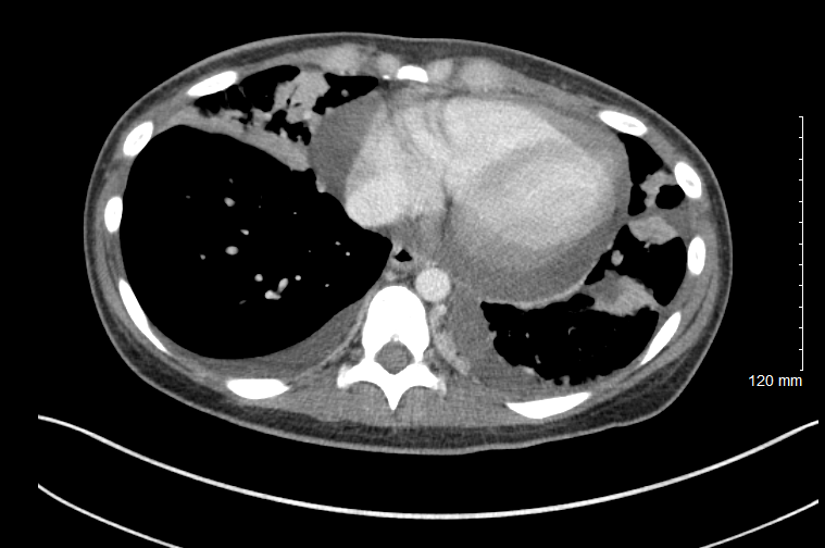 Mehdi Hamadani, MD tweet media