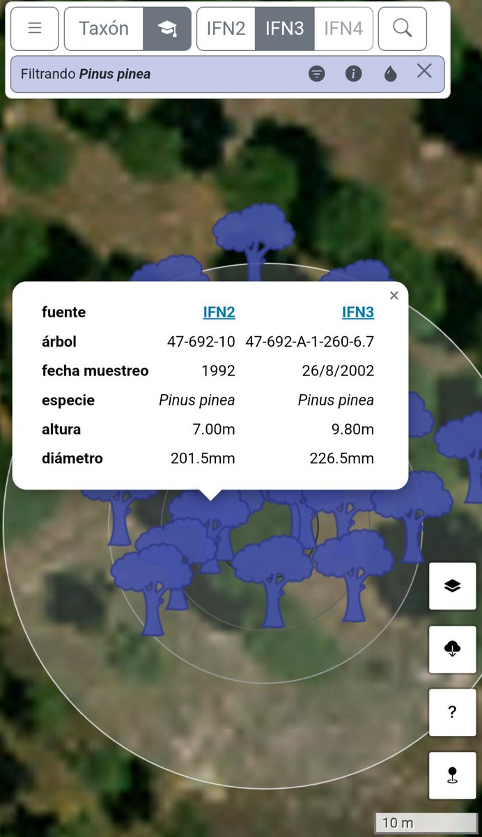 Guillermo Vega tweet media