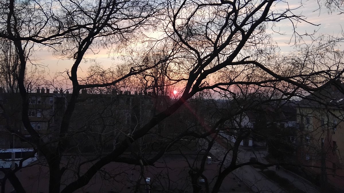 SandorBorsos's tweet image. “Wednesdays are a great time to step outside your comfort zone and try something new.” #Wednesday #quoteoftheday #SpontaneousMoments #photooftheday #sunshin #view #Hungary