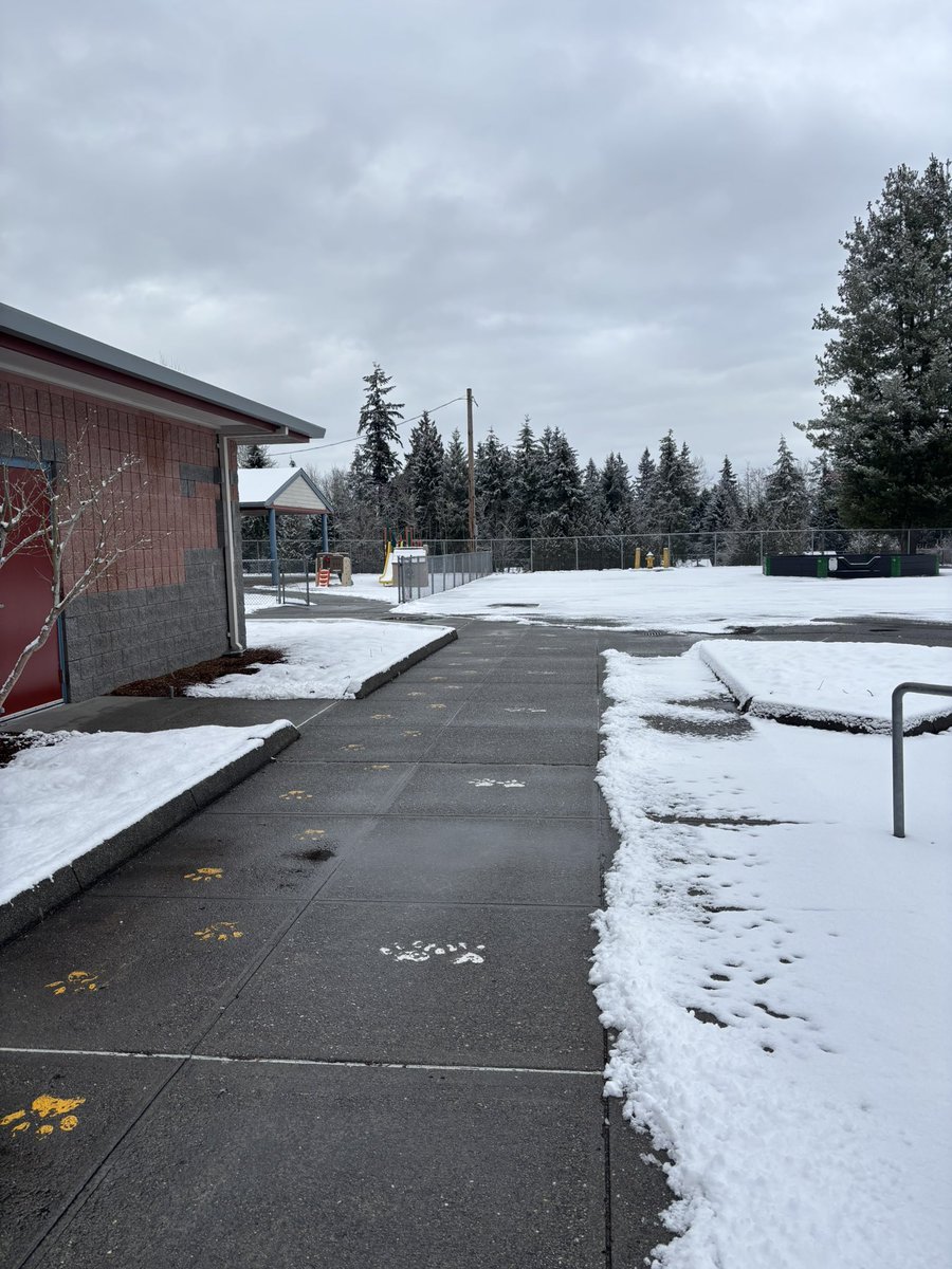 SFE, without a doubt, has the best head custodian - Launi thank for creating safe sidewalks for all of us!