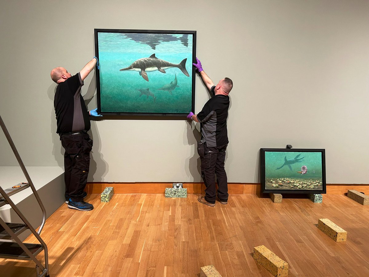 Kim Mawhinney (@kim_mawhinney) on Twitter photo Can’t wait for you all to see this new exhibition at the <a href="/UlsterMuseum/">Ulster Museum</a>
Opening to the public on 21 Feb, Wild Ireland: Past, Present, Future showcases over 60 amazing wildlife paintings by <a href="/JulianFriers/">Julian Friers</a> and his collaboration with curator Dr Mike Simms. Can’t wait for you all to see this new exhibition at the <a href="/UlsterMuseum/">Ulster Museum</a>
Opening to the public on 21 Feb, Wild Ireland: Past, Present, Future showcases over 60 amazing wildlife paintings by <a href="/JulianFriers/">Julian Friers</a> and his collaboration with curator Dr Mike Simms.