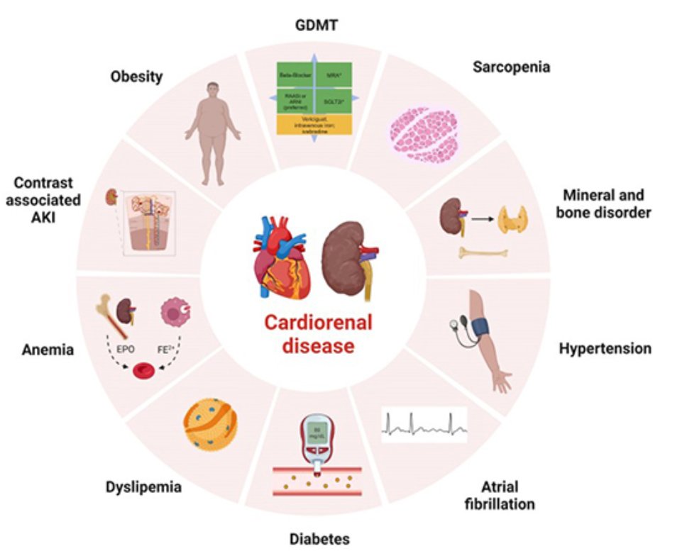 Muy recomendable:
🆕 12+1 actualizaciones en la patología Cardio-Renal-Metabólica 
💊 Píldoras para mantente al día en el manejo del paciente #CardioRenal
👉 senefro.org/modules.php?na…

👥 <a href="/SENefrologia/">S.E.N. Nefrología</a> <a href="/secardiologia/">Soc Esp Cardiología</a> <a href="/Sociedad_SEMI/">Sociedad Española de Medicina Interna (SEMI)</a> <a href="/ResiSec/">ResiSEC</a>