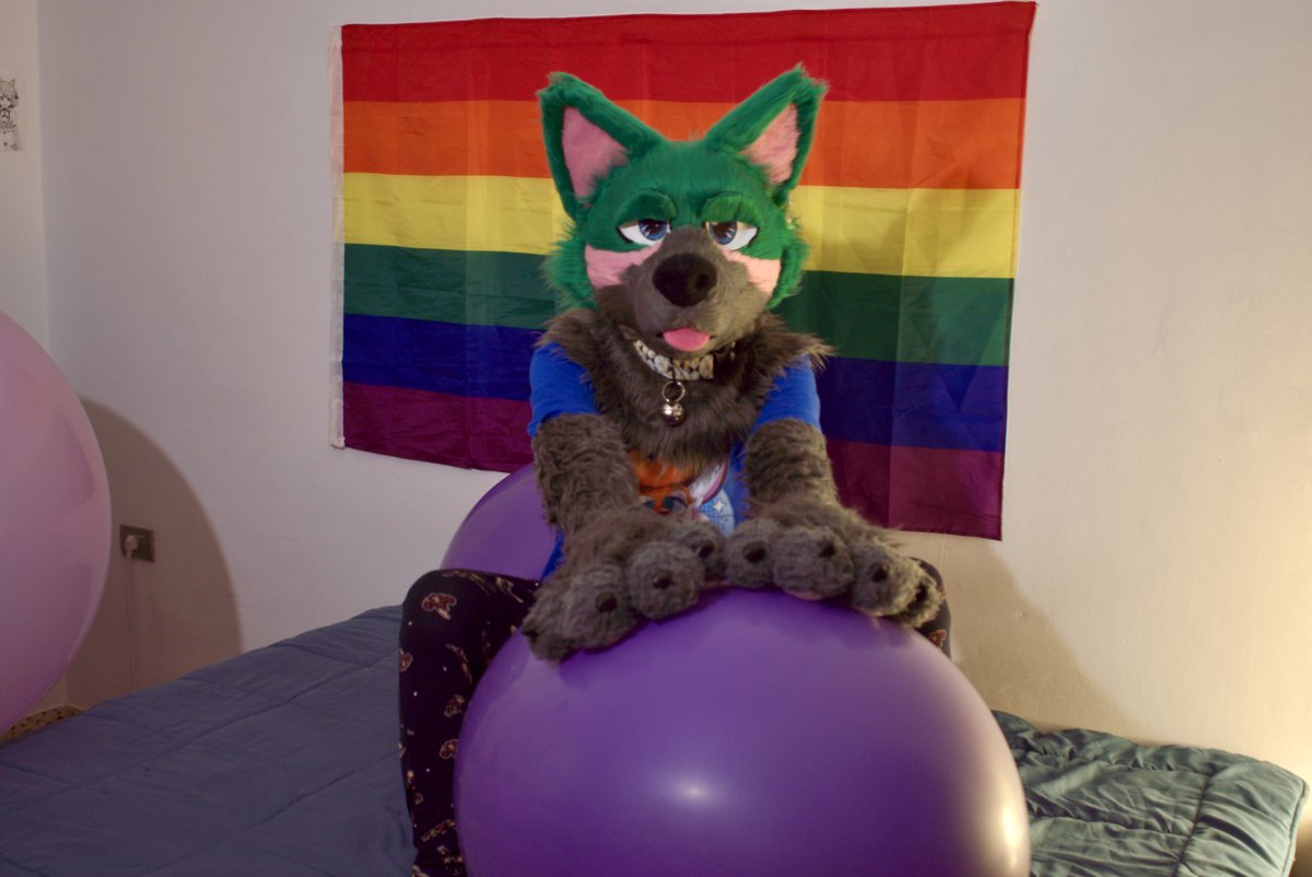 Someone said bouncies ?  Woff woff😳