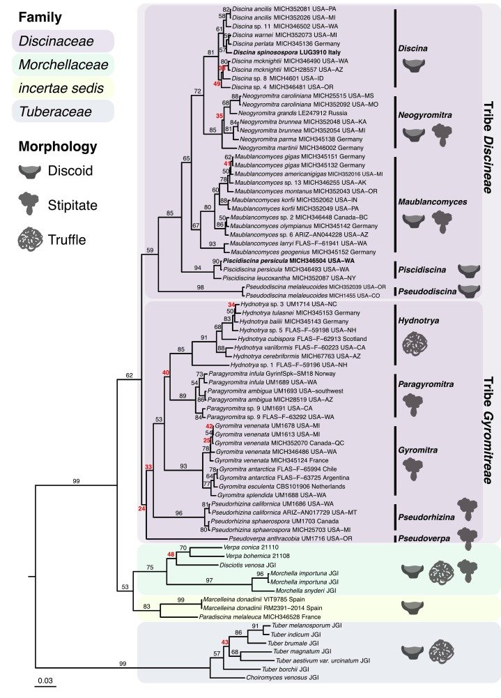 Steve Marek tweet media
