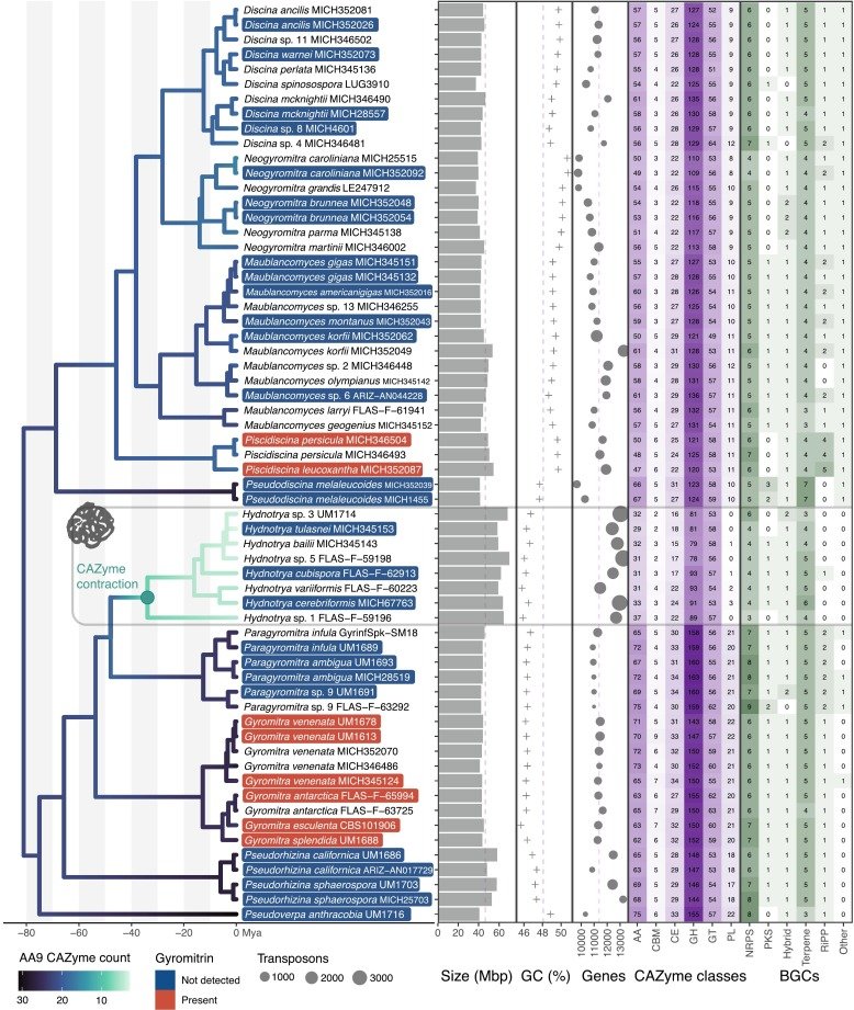 Steve Marek tweet media