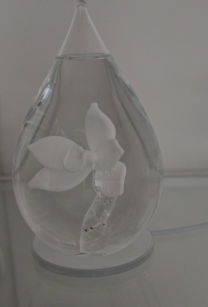 creations_as's tweet photo. Hoe mooi is deze glazen urn met bloem❤️

In het steeltje hebben wij een beetje crematieas laten verwerken tot een liefdevolle en tastbare herinnering.

#urnen 
#asinglas
#Uitvaartwinkel 
#urnenwinkel 
#ikmisje
#Deventer 
#afscheid 
#rouw https://t.co/0XrEOGs0vs