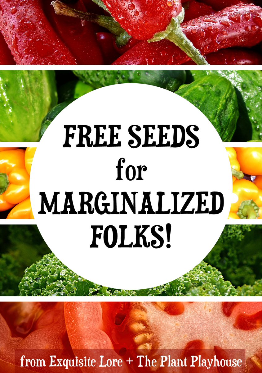 Exquisite Lore 🇵🇸🍉🏳‍🌈🐀 tweet media