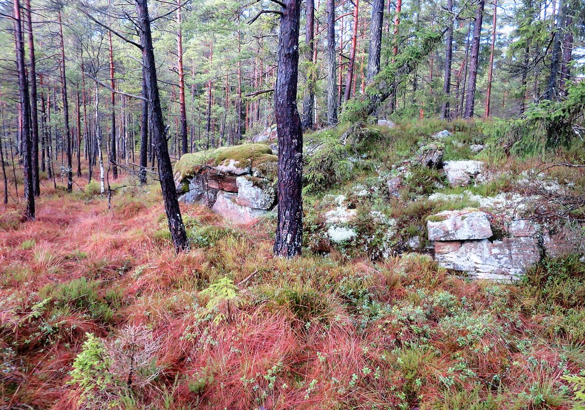 Jonatan Börjesson tweet media