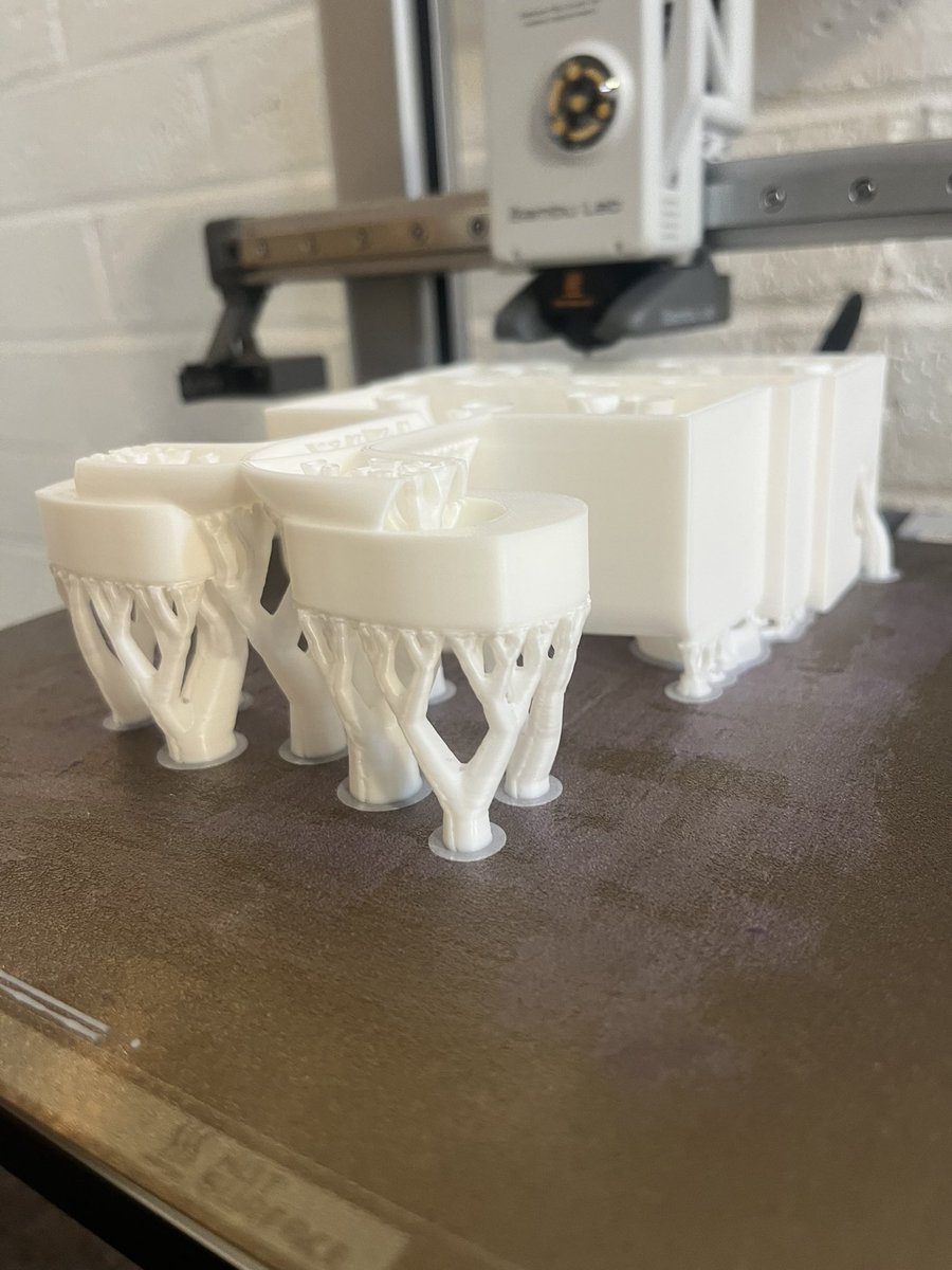 trees are the ultimate biological optimizers