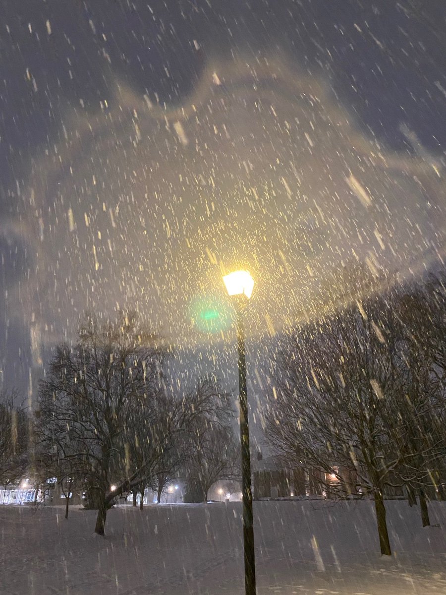 snowfall in Kentucky; wishing it was longer and happen again❄❄❄