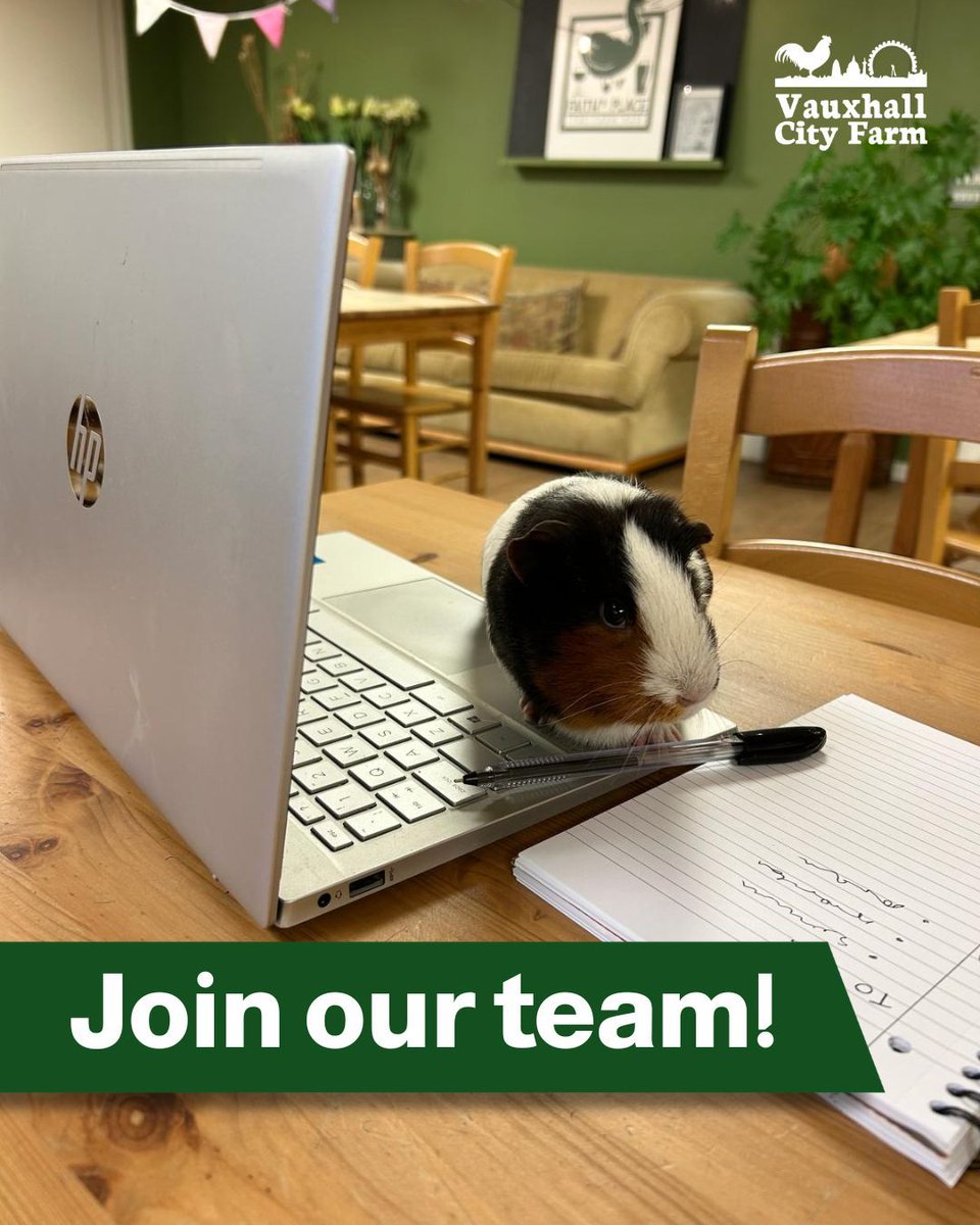 We're hiring! We have various roles available, and newly listed today:

⭐ Administrator ⭐ 
📍 Location: Vauxhall, London
💰 Salary: £23,500 – £25,000 
⏳ Contract: Permanent, Full-Time 

📅 Apply Now! Deadline: 5pm, 18th February 2025 

vauxhallcityfarm.org/administrator/
