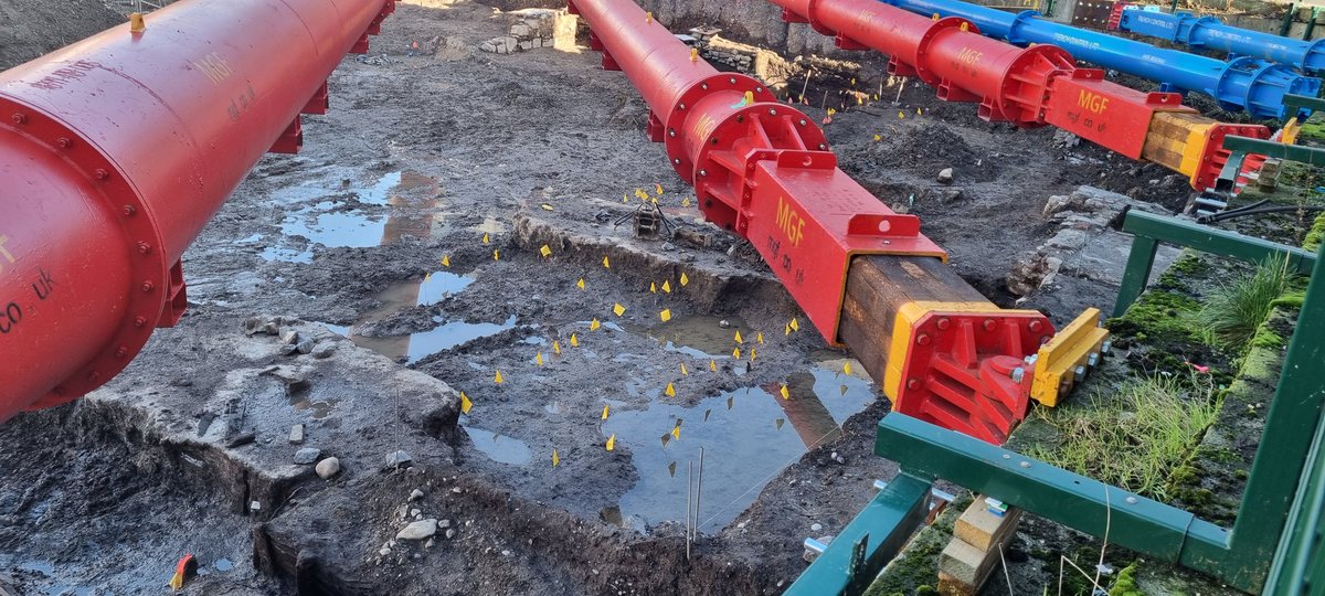 David Stone tweet media