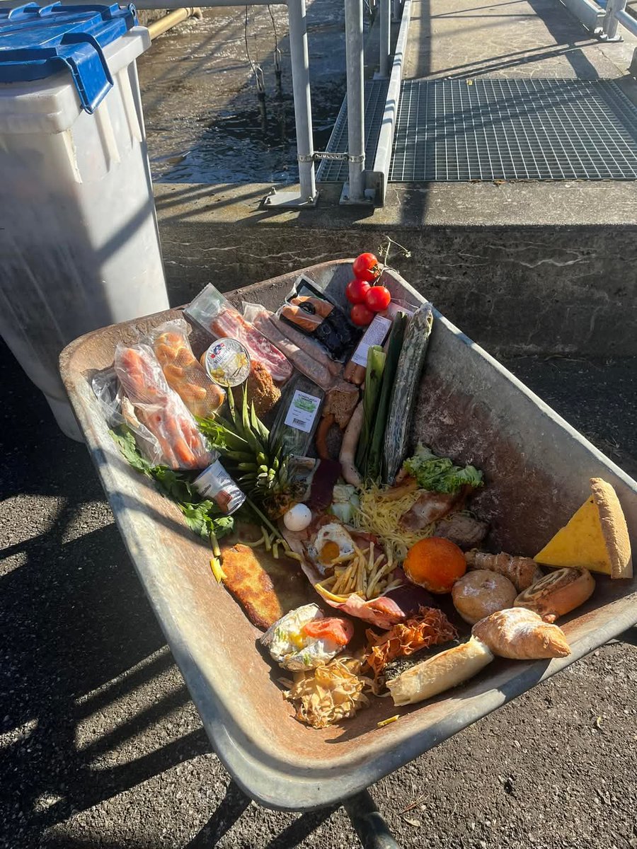 PUBangsarGGOC's tweet photo. Day 2-Part 2 A journey from sustainable food waste practices at @OurChalet to exploring how a sewage plant turns food scraps into energy. ๐๐ก #HSS2025 #GGAM @wagggsworld @pputerimy https://t.co/P9jvWGOtV3
