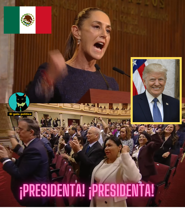 El gato político tweet media