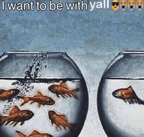 Kyu 🍂 tweet media