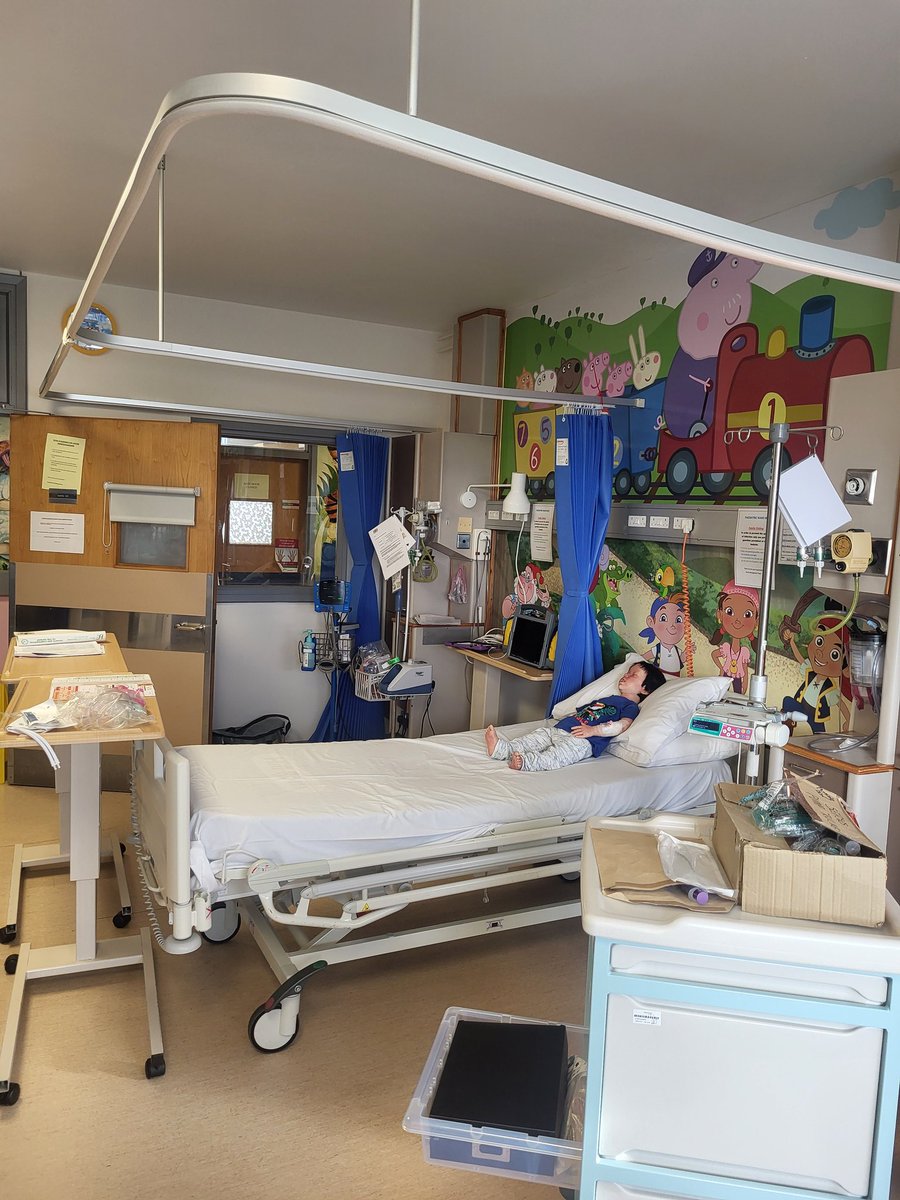 Sharon Cassidy tweet media